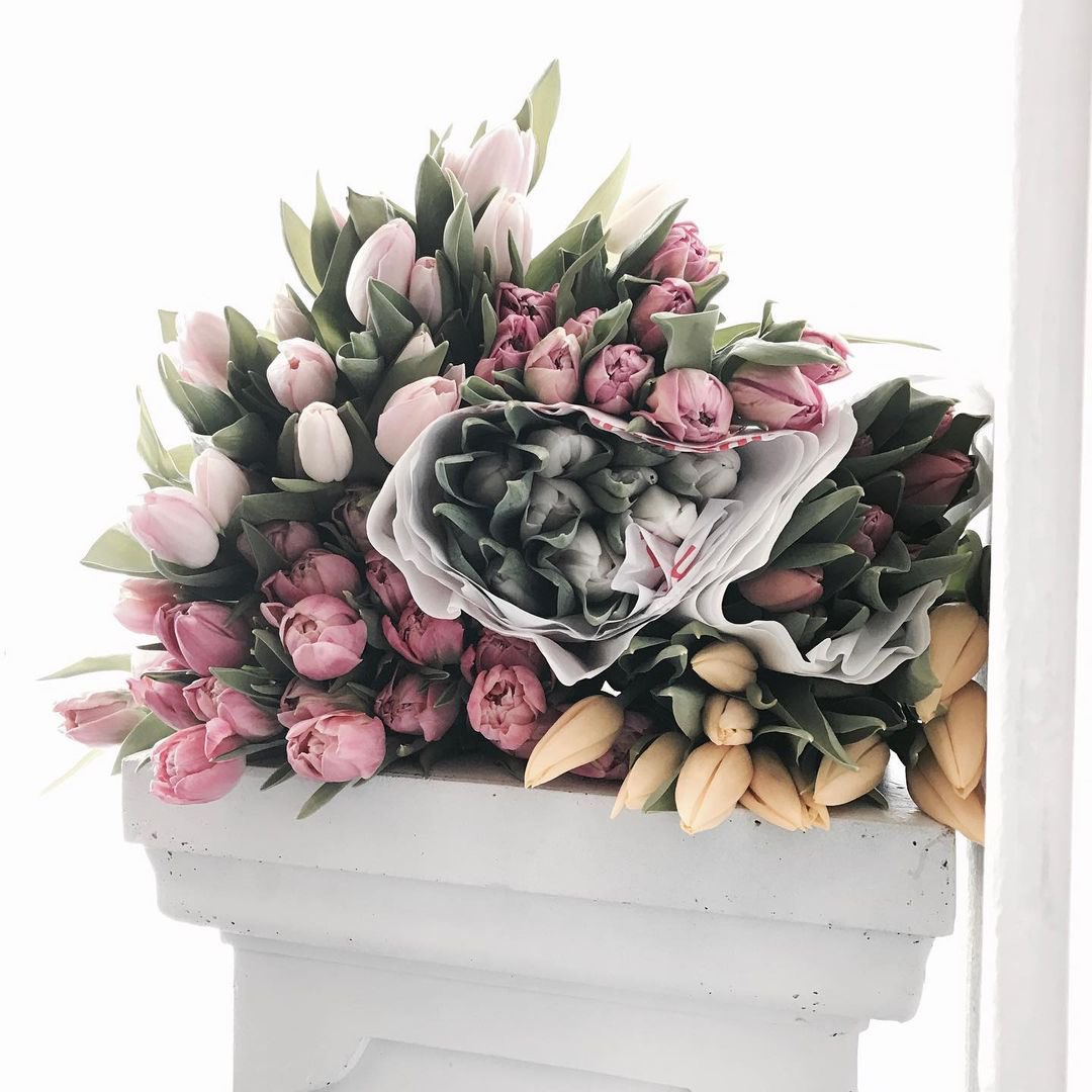warad01's tweet photo. https://t.co/GibU5XMN5a