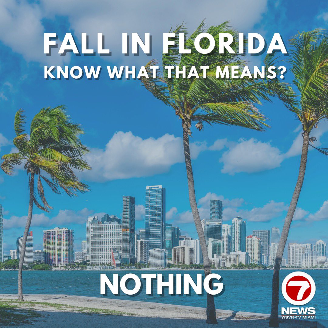 WSVN 7 News tweet media