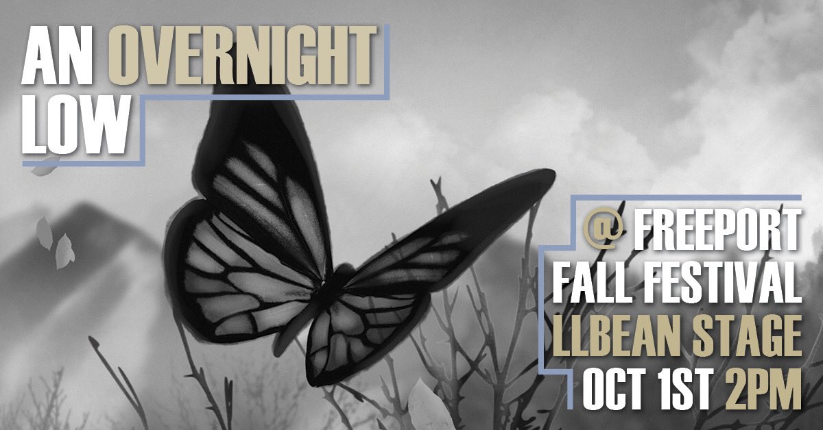 An Overnight Low tweet media