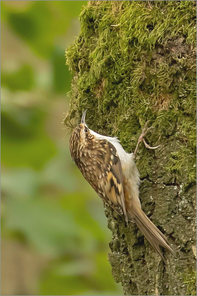 john caswell tweet media