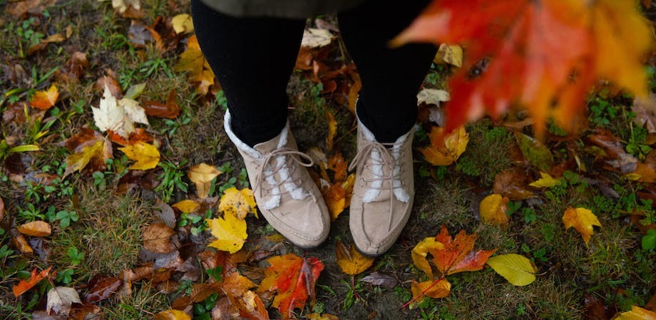 BayBeachWLS's tweet image. Trail Walk today at noon! Free!  Join us--meet in front of the Nature Center.  #Trailwalk #BayBeachWildifeSanctuary