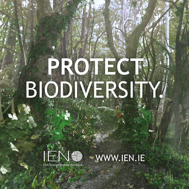 IrishEnvNet's tweet photo. Dreaming of thriving Irish ecosystems? Be part of the movement that drives Ireland to transform its impact on nature. Learn about volunteering opportunities, educational webinars and the first Citizens’ Assembly taking place on #biodiversityloss. Get involved today.