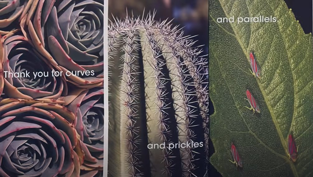 MrKSDyck's tweet photo. Grade 5/6s @PortWellerPS #Analysing #Patterns in @aprilpsayre's #ThankYouEarth book. #ScienceLiteracyWeek #MIsForMathematics #MathInNature #MathIsEverywhere @MrJThorpe https://t.co/QQHwW1tRU6