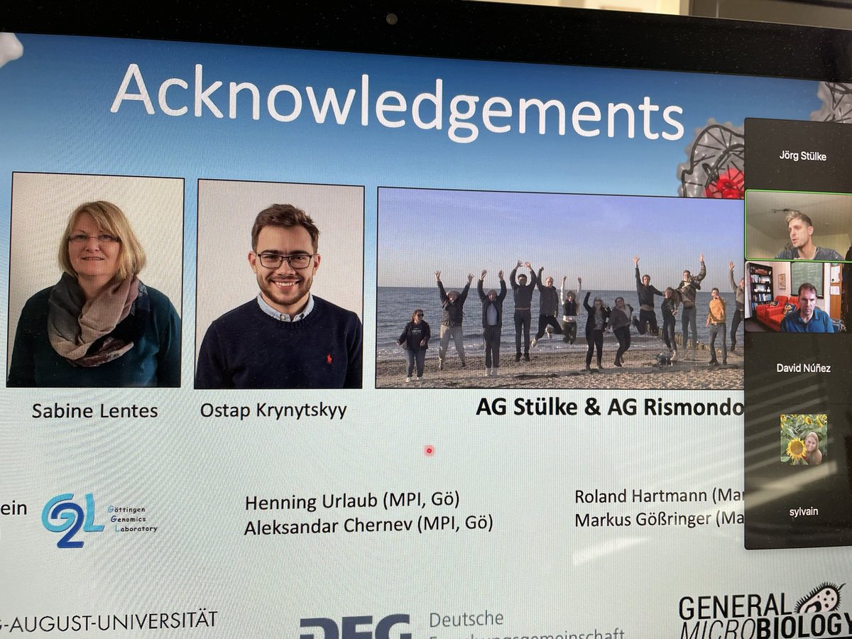 Jörg Stülke (@jorgstulke) on Twitter photo <a href="/DennisWicke/">Dennis Wicke</a> just gave an excellent talk on the YlxR protein in Bacillus subtilis! #subtillery2022 <a href="/Subtillery/">Subtillery</a> <a href="/DennisWicke/">Dennis Wicke</a> just gave an excellent talk on the YlxR protein in Bacillus subtilis! #subtillery2022 <a href="/Subtillery/">Subtillery</a>