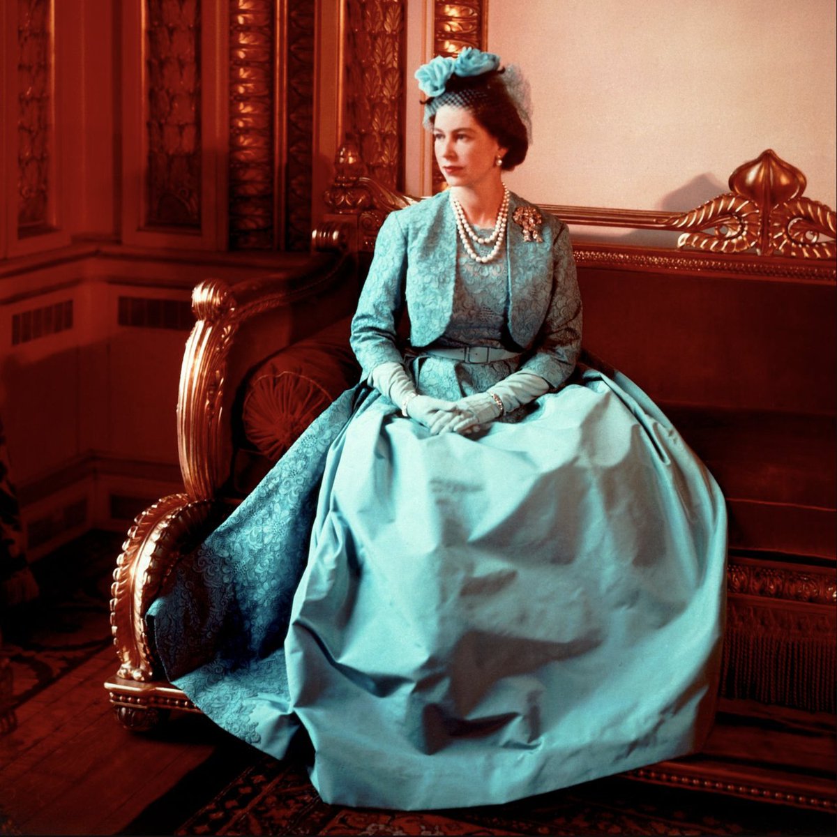 I always liked this picture...the color, beauty and dignity overflowing.