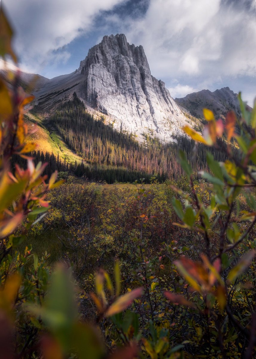 toews_collin's tweet photo. Hey Twitter it’s been a minute 

#landscapephotography #AutumnVibes #NaturePhotography https://t.co/NFJFoMhxUh