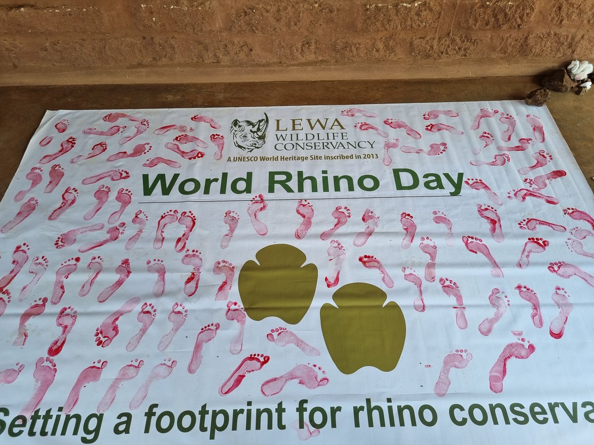 LewaConservancy's tweet photo. This morning's walk to commemorate #WorldRhinoDay was great fun. It symbolized our commitment to journey with our rhino population to ensure they thrive. Many thanks to @NRT_Kenya @51_DegreesLtd @LewaSafariCamp @Lewa_House @LewaWilderness @elewana &amp; to the communities around Lewa https://t.co/UxzVAG4mCv