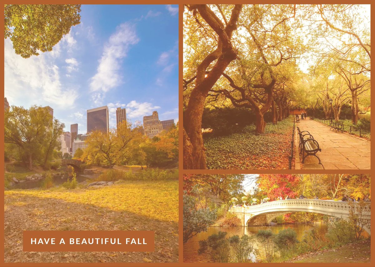 LasleyBrahaney's tweet photo. #happyfall https://t.co/ABYv8pXRIZ