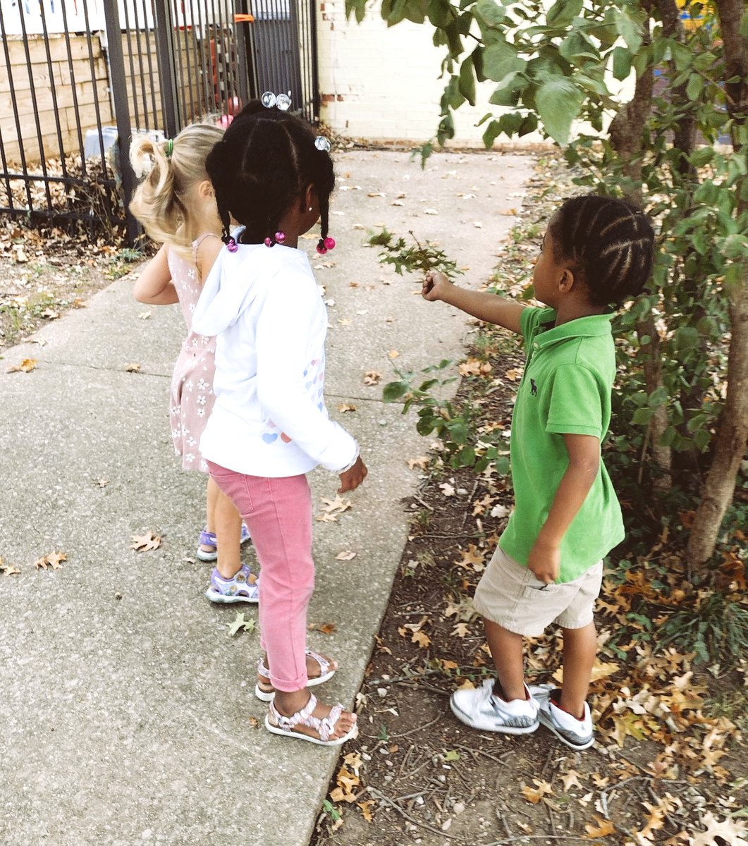 TheNestLex's tweet photo. FALL IS IN THE AIR! 🍁🍂🌻 
Today, the kiddos in our child care took a nature walk and picked up leaves to compare their colors to the colors of the beautiful mural of the late Anita Franklin, created by artist @iKidU_not (Keaton Young). https://t.co/h4hhNwjHNK