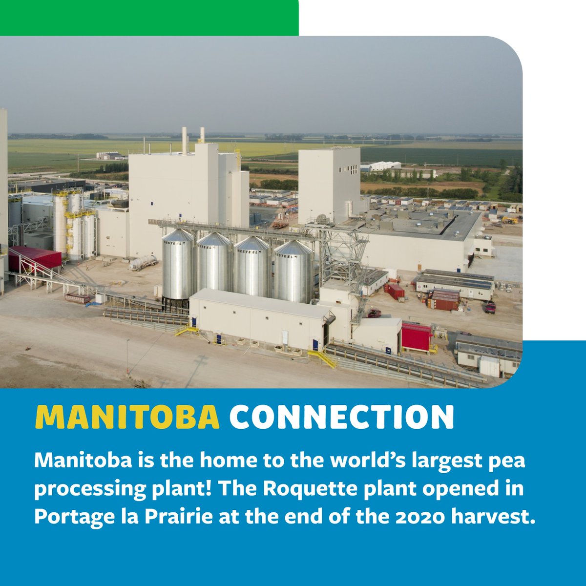 aitcmb's tweet photo. Super-nutritious, and high in protein, pulses are one of the #FoundationsOfMBAg! Visit our new resources that show how they’re grown &amp; processed right here in MB: https://t.co/KOjjNejl0C

Thank you to our 2022 Presenting Sponsor, 
@PeakoftheMarket 
#FarmFoodAwarenessWeek @MBGovAg https://t.co/rFTdNM1RrQ