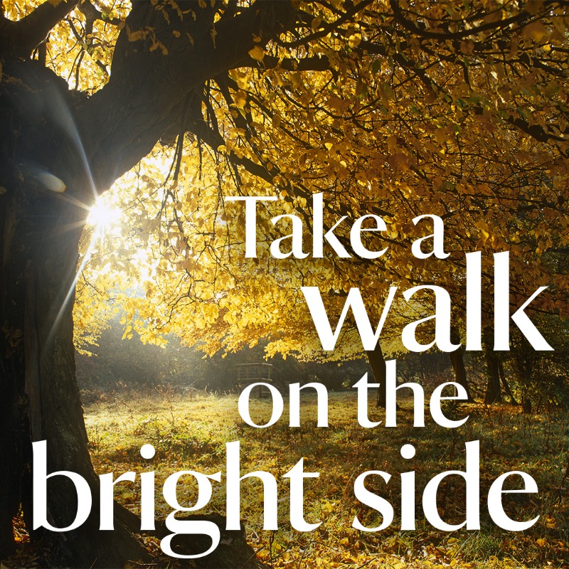 nationaltrust's tweet photo. Escape into autumn to see nature winding down and let its wonder lift you up. Claim your free visit to a place we care for.