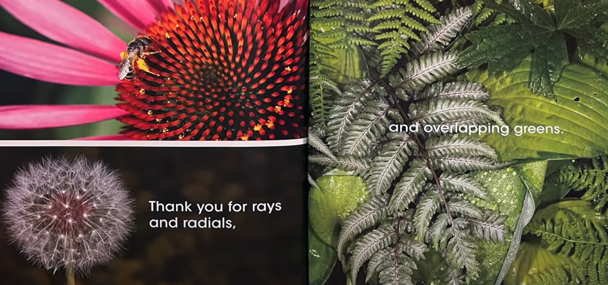 MrKSDyck's tweet photo. Grade 5/6s @PortWellerPS #Analysing #Patterns in @aprilpsayre's #ThankYouEarth book. #ScienceLiteracyWeek #MIsForMathematics #MathInNature #MathIsEverywhere @MrJThorpe https://t.co/QQHwW1tRU6