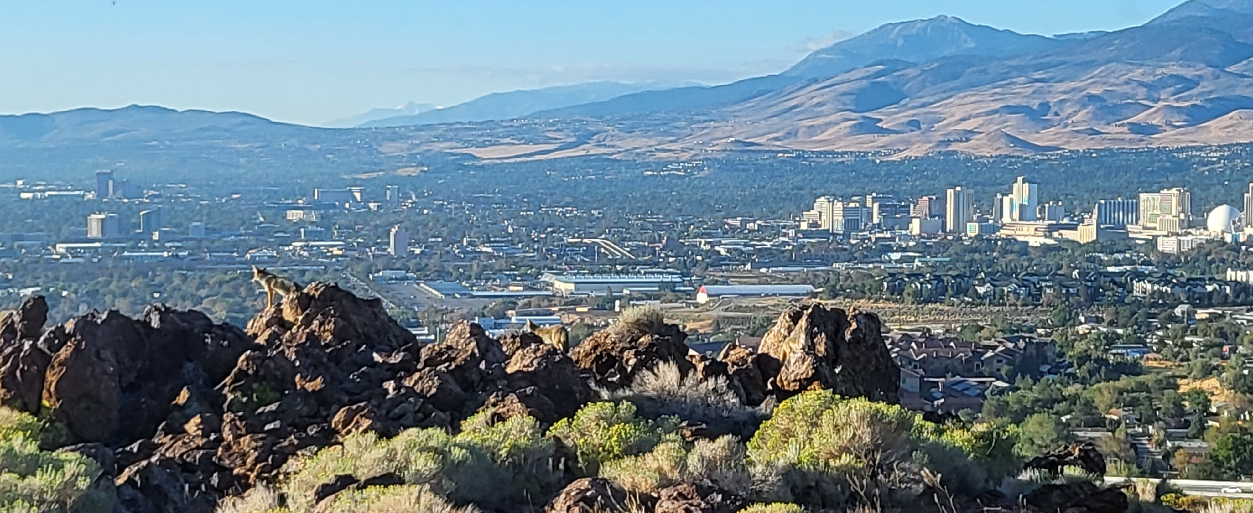 Nws Reno Nv