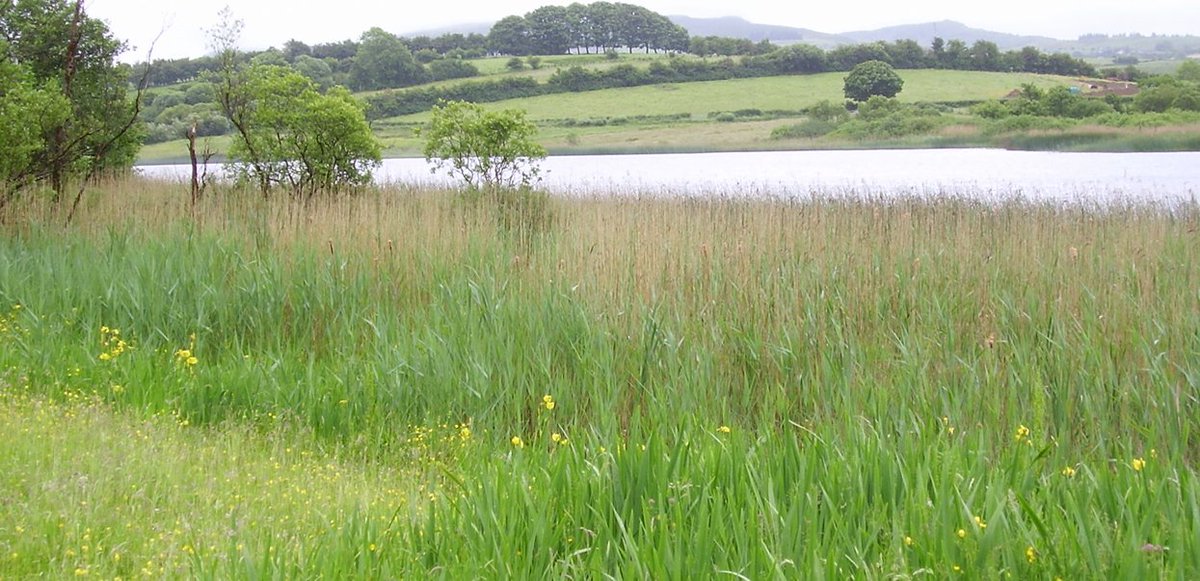 Johnfinn310's tweet photo. 💥We're hiring! Two #biodiversity-related positions💥
A technologist and technician (measuring #habitat quantity and quality on farming systems). (Deadline: 3rd October)
https://t.co/0LqQs0wdQY https://t.co/x8WfOwRZFU
