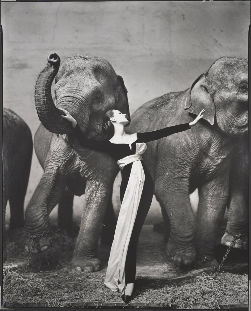 enzodalverme's tweet photo. A major exhibition dedicated to Richard Avedon opens at the Palazzo Reale in #Milan. 106 images to chronicle more than 60 years of the great photographer's career. The catalog is by @SkiraEditore 
@ClpMilano @ComuneMI
😮
#photography #art #artexhibition #avedon #milanfashionweek https://t.co/yo2lczRJmQ