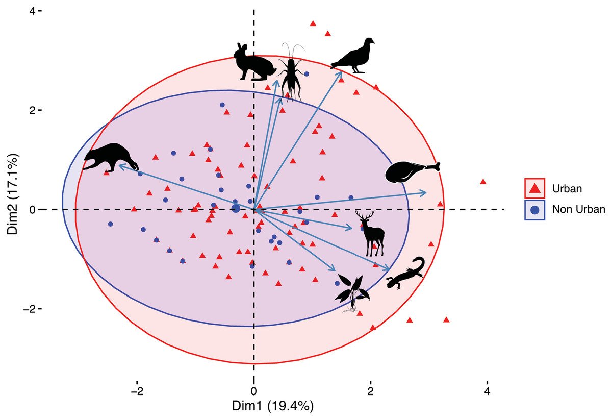 claudiawultsch's tweet image. Check out our new paper led by Carol Henger @chenger605 - we investigated the #diet of #coyotes in the Greater NYC area using #poopscience &amp;amp; #DNAmetabarcoding 💩🧬🐺

peerj.com/articles/13788/