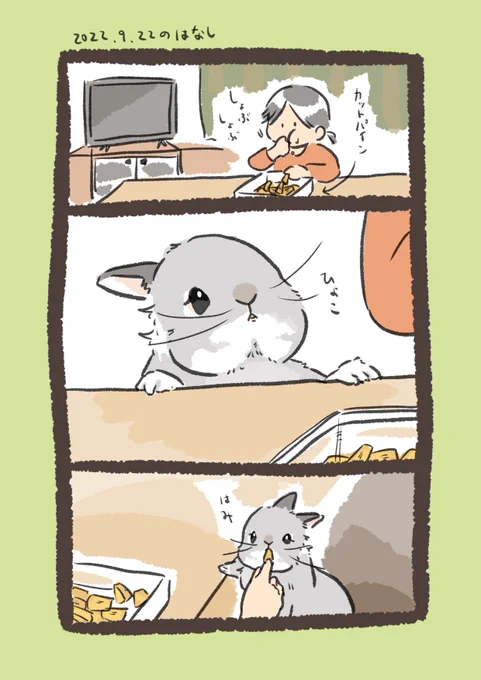 昨日のrabbit…の追加です
🍍

#うさぎのいる生活 