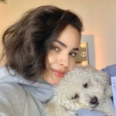 sofia carson thinker tweet media