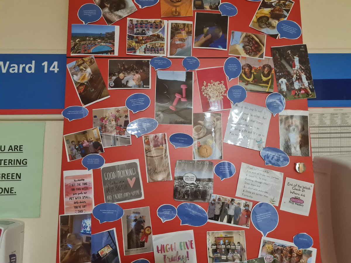 ward 12 Fgh tweet media