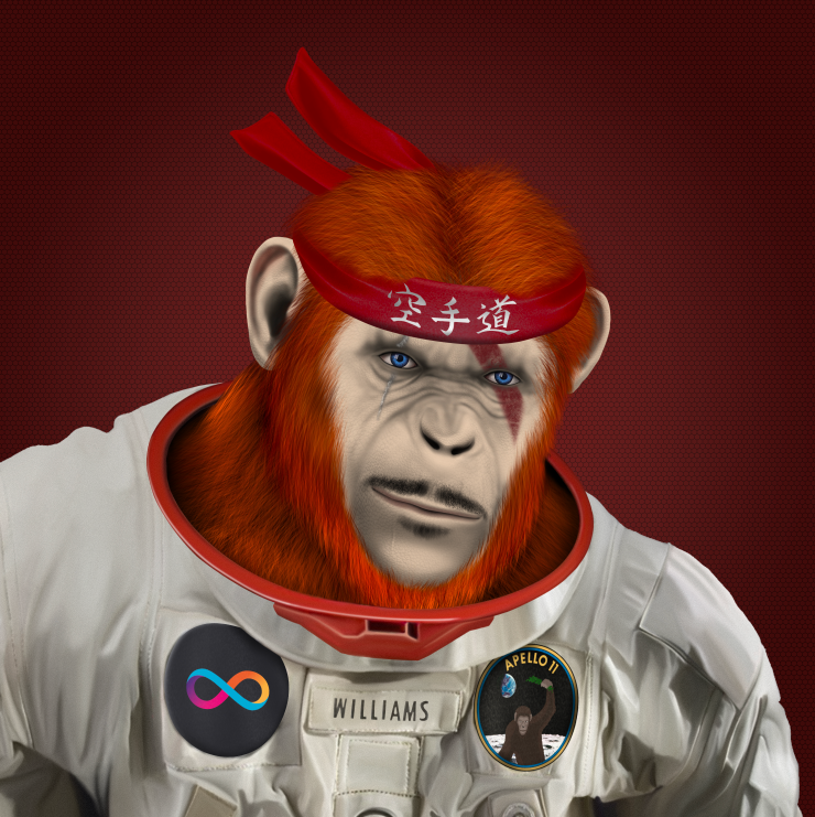 satoriyokai_icp's tweet photo. @ICApe_Ventures @PlethoraGame Lets go #Plethora and #ICApes #ICP #NFT https://t.co/HVWflIzjDF