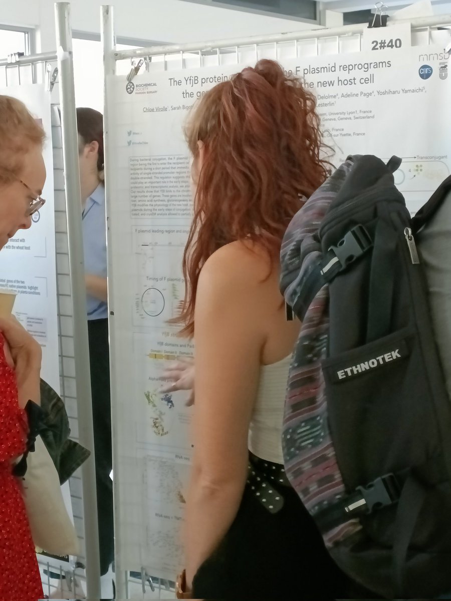 Great poster session at <a href="/ISPB2022/">PlasmidBiology2022</a>  ✌️✌️✌️✌️ also congrats to my colleague and Friend <a href="/VirolleChloe/">Chloé Virolle</a> for her poster presentation on the ParB-like protein from the leading region, yfjB 🦠🦠🦠🦠🦠🦠🦠🦠
#PlasmidBiology2022