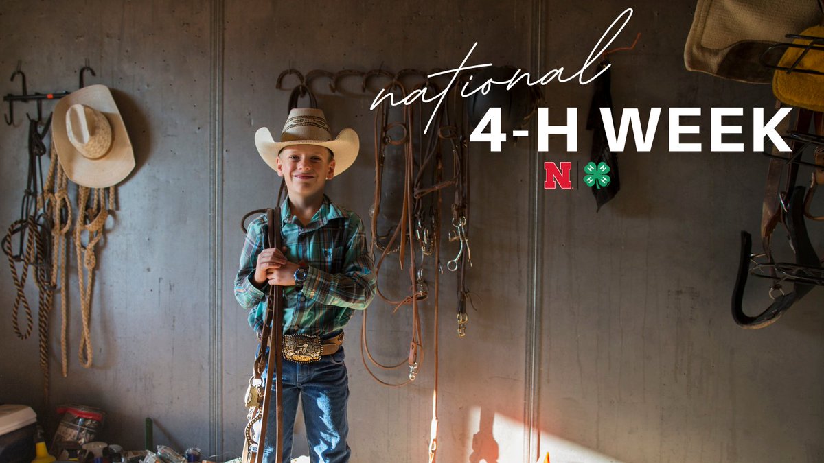 WCNE4H's tweet photo. It's #4HWeek! We're celebrating youth and all the people that help to create opportunities for all. https://t.co/VxpdbMEyiR