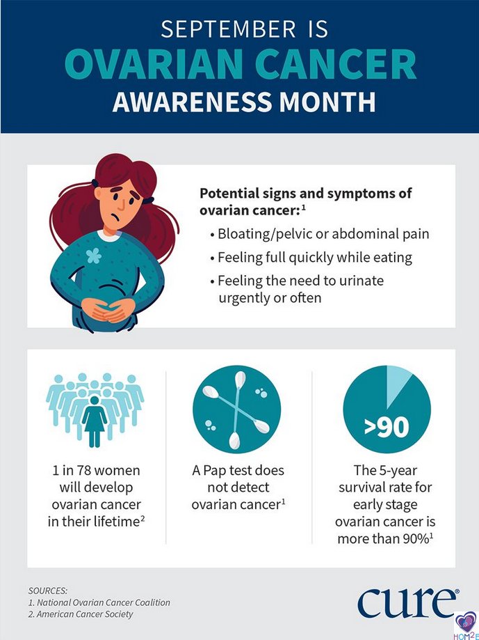CHommelab's tweet photo. September is Ovarian Cancer Awareness Month. Ovarian cancer risk increases with age and family history of cancer. However, ovarian cancer has a survival rate of over 90% so it is vital that women with an increased risk see their doctor regularly.
 #csunresearch #csunhommelab https://t.co/FULuTzmHUk