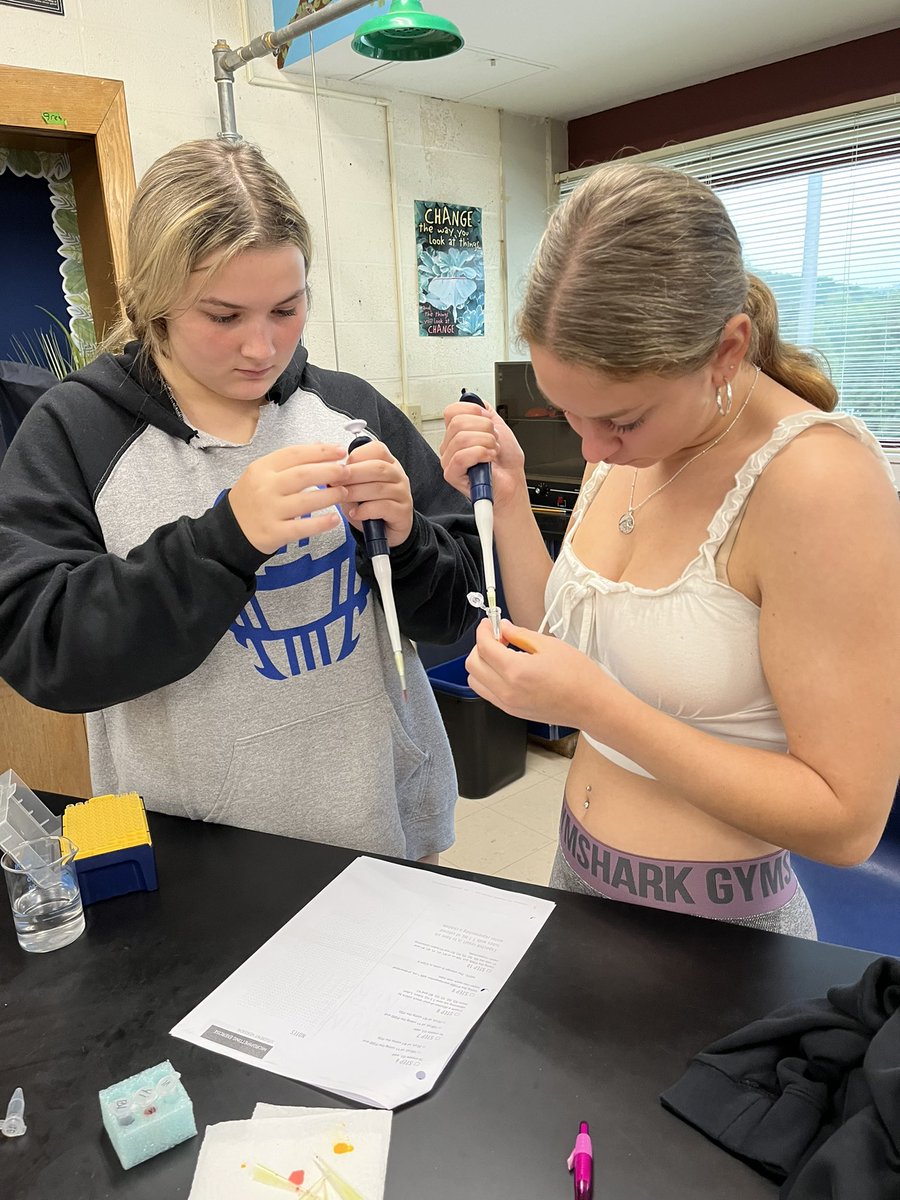 Melissa Bryant tweet media