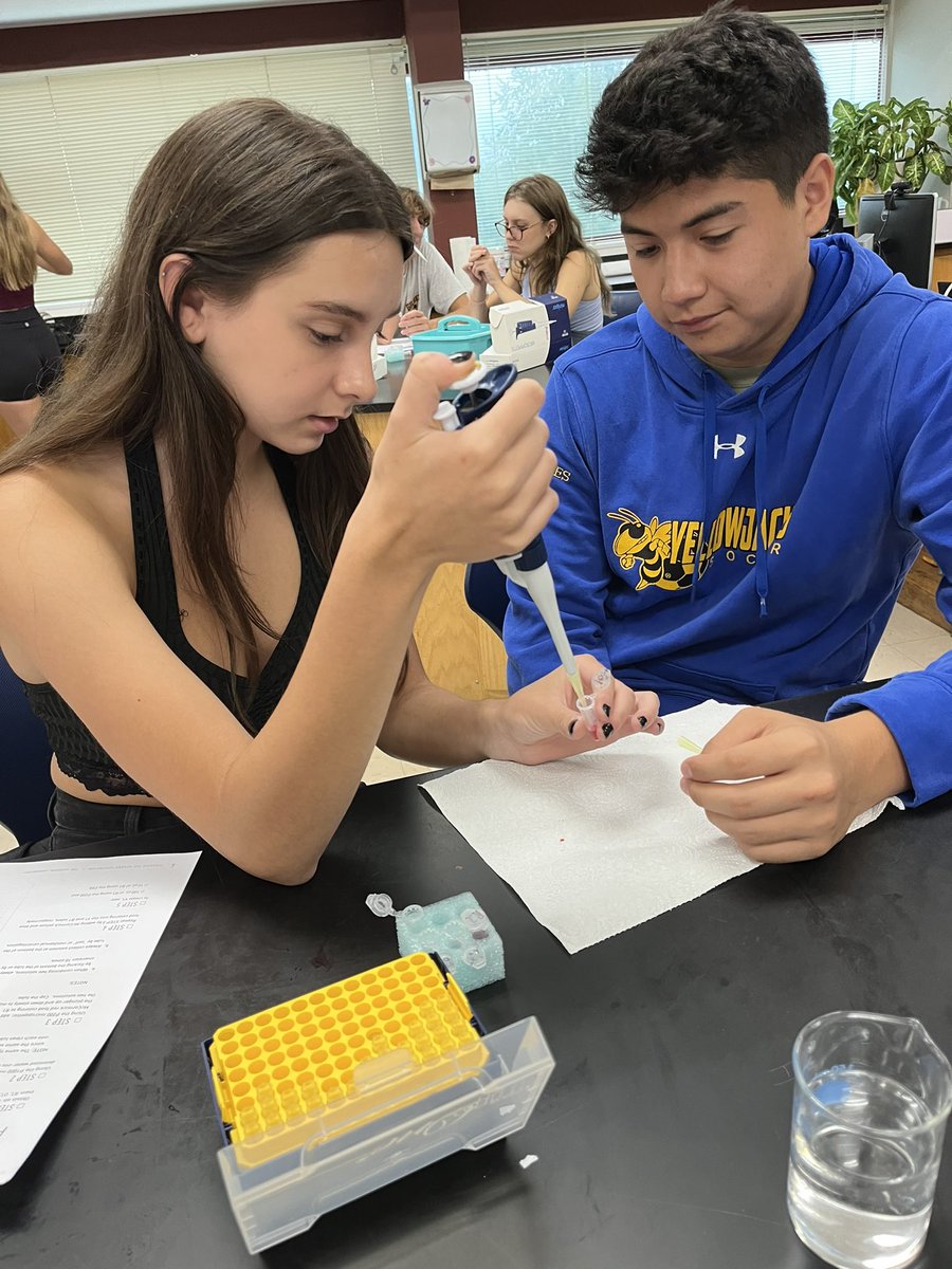 Melissa Bryant tweet media