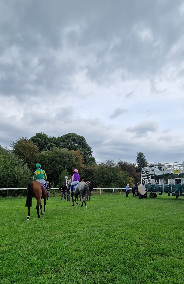 ParaDan85's tweet photo. Not the usual work today. Supporting @YorksAmbulance with medical cover for the horse racing. 🐎🚑 #yasevents #horseracing #itvracing https://t.co/z7FiNoiVZy