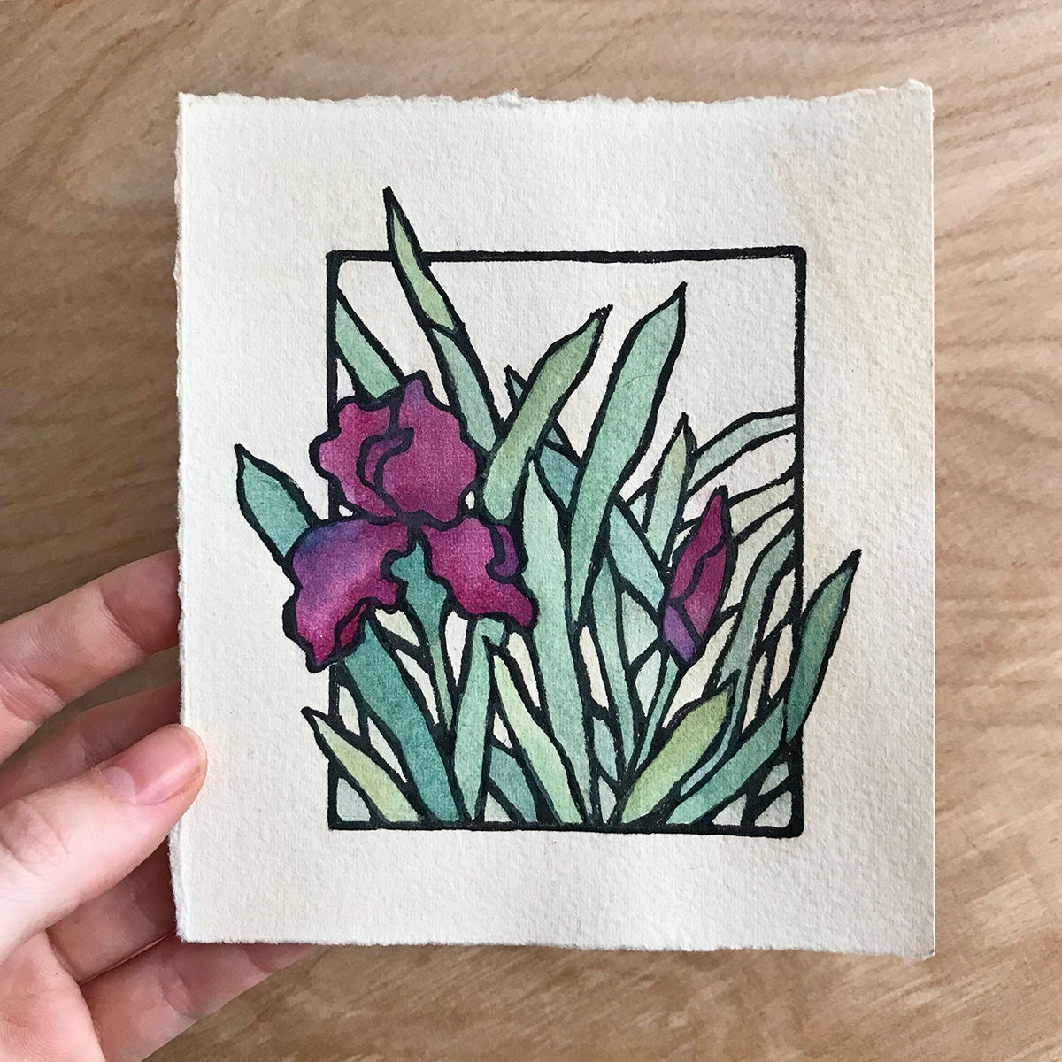 ddccad's tweet photo. Watercolor study to say hello 💜 #iris #painting https://t.co/bpDnfLeUaU