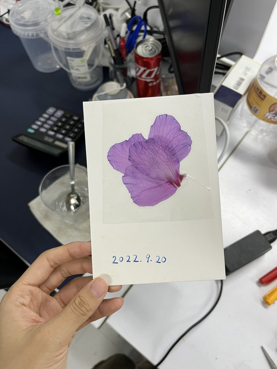 wuhan1216's tweet photo. 美绝了 https://t.co/ECT09mpBic