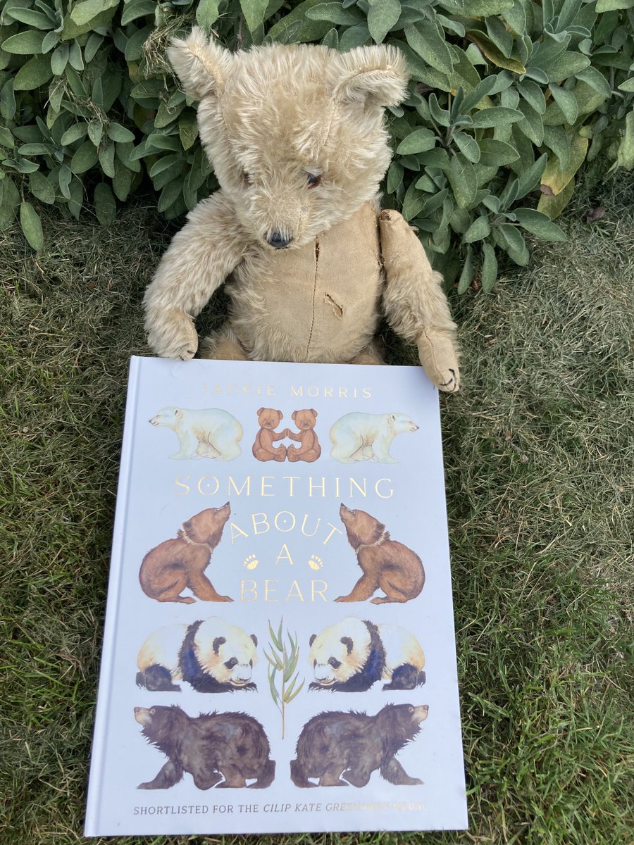 OtterBarryBooks's tweet photo. Happy publication day ⁦@JackieMorrisArt⁩! Here is favourite threadbare  childhood bear of ⁦@Janettaob⁩ with #SomethingAbout ABear! Do share yours too - with the book if you have one! ⁦@bouncemarketing⁩ https://t.co/Igfj6ycVOx