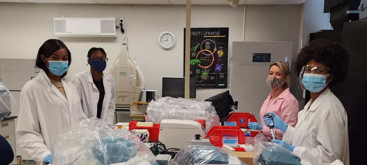revealplant's tweet photo. So proud 👏 👏 of my undergrad student researchers #ECSU. First time the lab placing plasmid RUBYRED @ATinyGreenCell in Agro AGL-1 with modified protocol (no liq N). Colonies 🔴🔴 (only need 1😊). Now onto transformation of tomato, tobacco, WFP....... #HBCU #undergradsinthelab https://t.co/iYe5ay4fQq