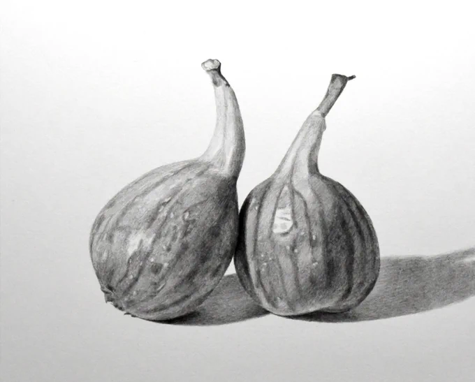 短時間で描いたデッサン。紙の白を残す場所と、しっかり濃く塗る場所を考えながら丁寧に描けばそれなりの仕上がりになると思う。#鉛筆画 #デッサン 