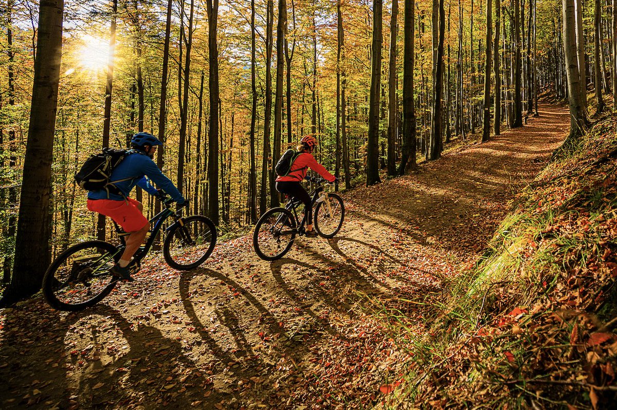 iBankApp's tweet photo. Fall is in the air &amp; we can hardly believe it! 🍂 🚵 🏔️

Where do you plan on adventuring as the leaves turn color?

#fallequinox #mtnbiking #adventuretravel #mobilebanking #budgeting #ibankapp https://t.co/Y1OGzEEelt