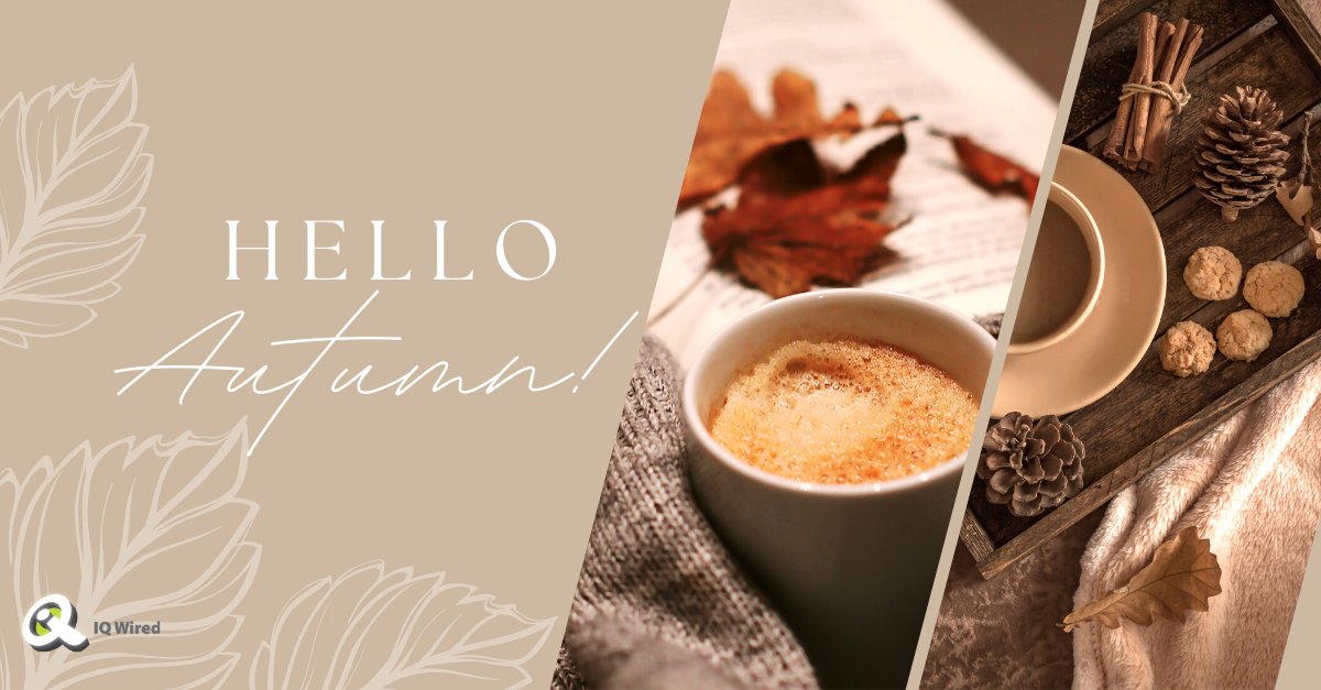 IQ Wired tweet media