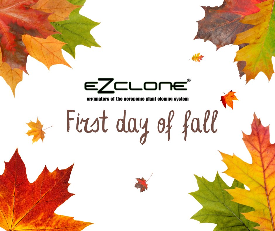 ezclone's tweet photo. Let's get ready to experience the world covered with mesmerizing shades of cinnamon, sugar brown, and yellow.

We wish you a happy first day of fall! https://t.co/fbKjC5icaV