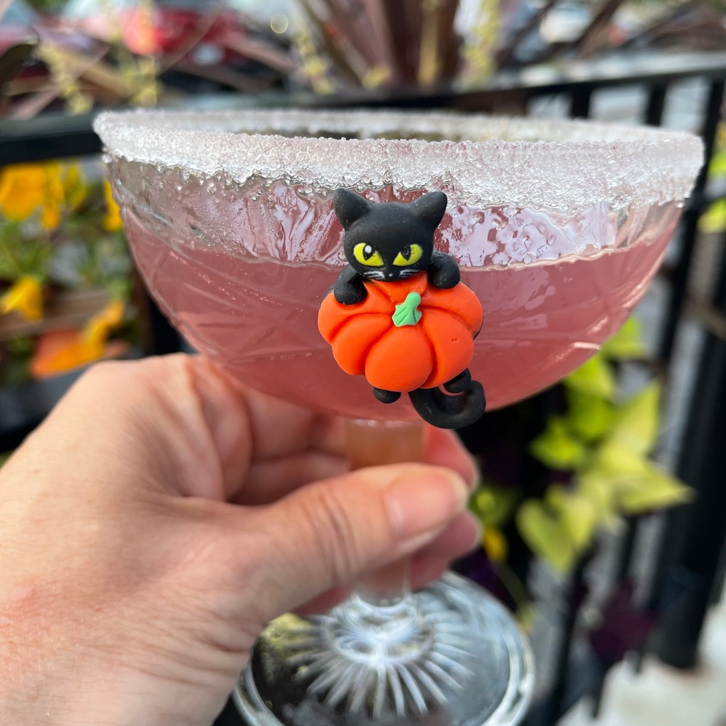 wineswithcharm's tweet photo. Have you seen the latest 👀 😻🎃
#halloween #halloweencharms #halloweenblog #party #wine #simplycharmed #charmlovers #winelover #charms#prettycharms #wineaccessories #pumpkin #cats #blackcats #fall https://t.co/rIifKnpVxi