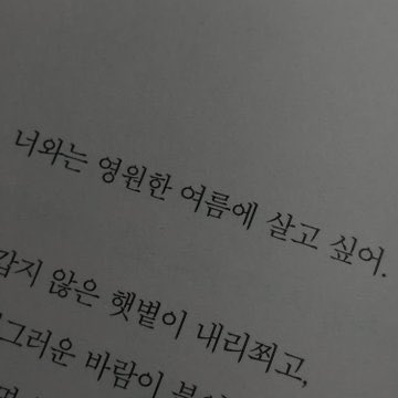 _yeryeon_'s tweet photo. 🫧𝕄𝔸𝕀ℕ 𝕋𝕎𝔼𝔼𝕋🫧

   일상•덕질•그림•글 https://t.co/HFD74VT4Wi