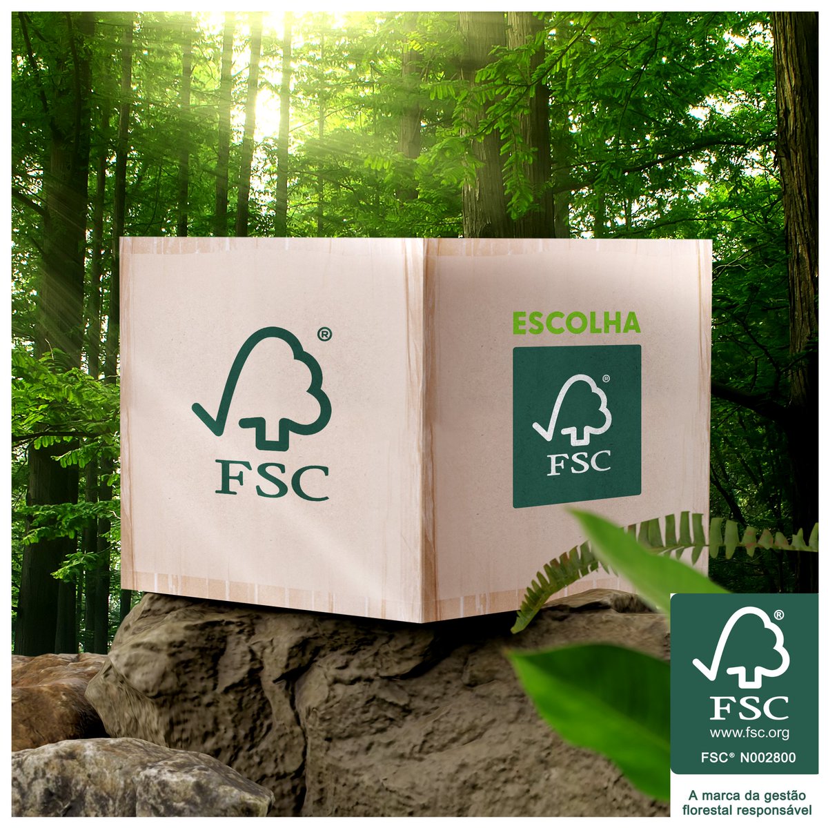 vinhos_alentejo's tweet photo. De 24 a 30 de setembro o FSC irá celebrar a Semana da Floresta FSC® que terá o tema ‘Escolha Florestas. Escolha FSC.’
Saiba mais:
https://t.co/vhs6x2UF5T
#ForestsForAllForever #FSCForestWeek #ChooseFSC
#VinhosdoAlentejo #Sustentabilidade #PSVA https://t.co/UfQdyaZitl