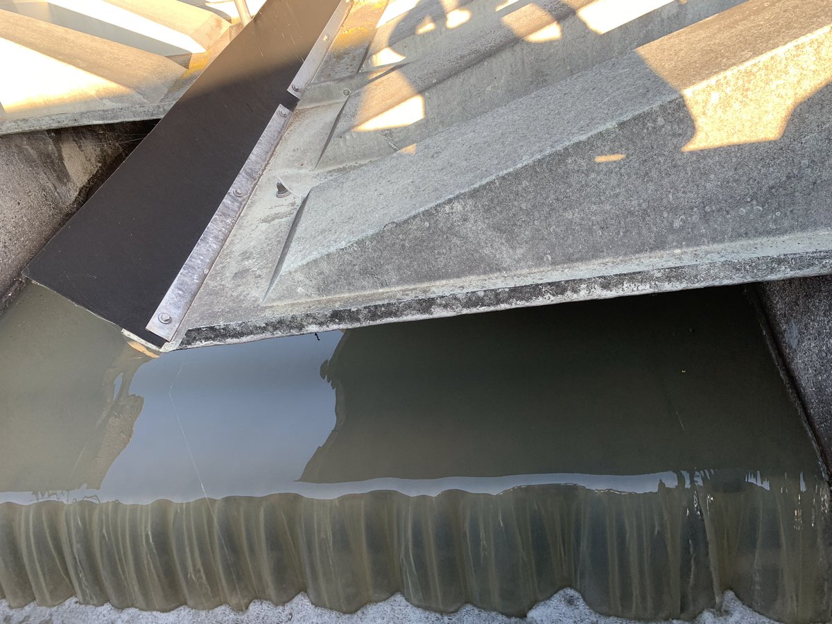 JSyhre's tweet photo. Begleitend schauen wir uns verschiedene Orte des #Wasser in FFO an: Problemsee #Helenesee, vorbildliche Wasserunterhaltung in Pillgram, bergbaubedingte Herausforderungen im Wasserwerk Briesen &amp; die Meisterleistung im Klärwerk. [3] https://t.co/RDl6NdzXos