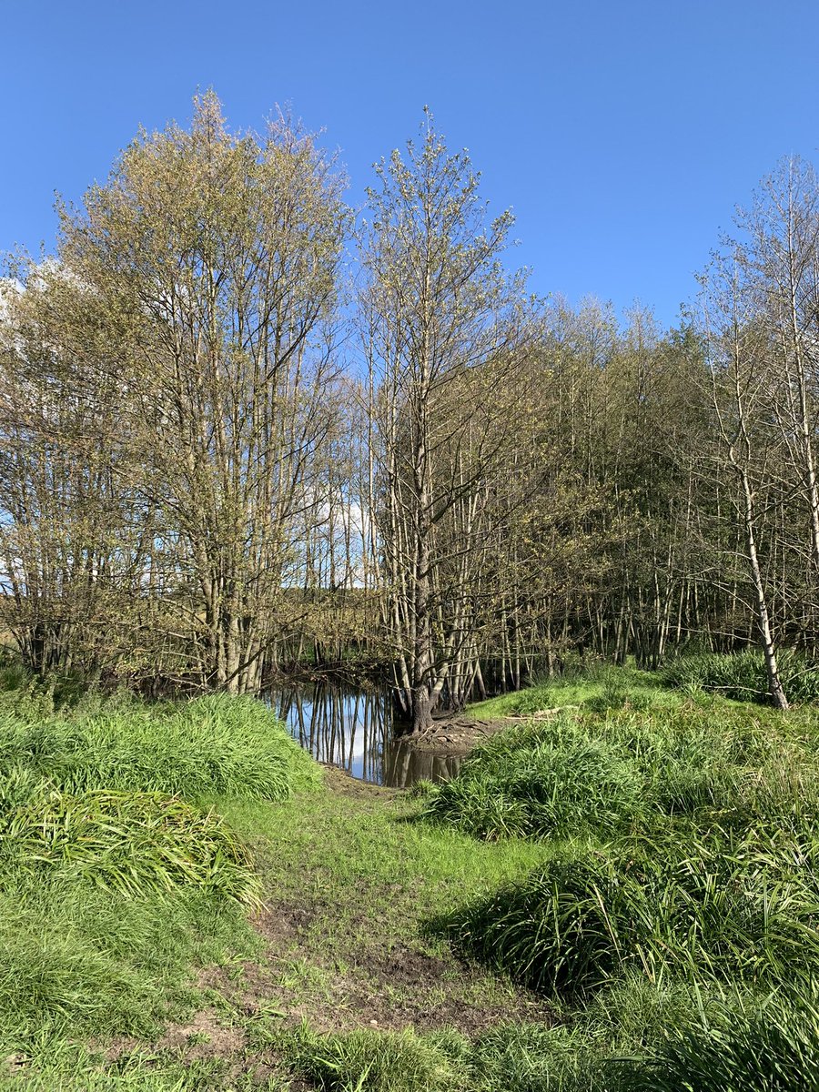 JSyhre's tweet photo. Begleitend schauen wir uns verschiedene Orte des #Wasser in FFO an: Problemsee #Helenesee, vorbildliche Wasserunterhaltung in Pillgram, bergbaubedingte Herausforderungen im Wasserwerk Briesen &amp; die Meisterleistung im Klärwerk. [3] https://t.co/RDl6NdzXos