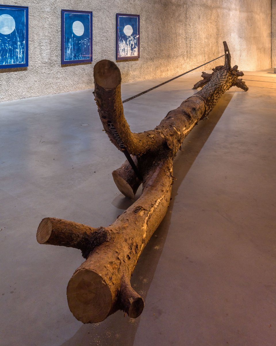 #KönigExhibition: We are pleased to present the exhibition by Tue Greenfort. EQUILIBRIUM is an expansive installation, consisting of a variety of new and some earlier works that occupies the entire NAVE of ST. AGNES.

📅 until 2 OCT
📍  ST. AGNES | NAVE

© R. März
#tuegreenfort