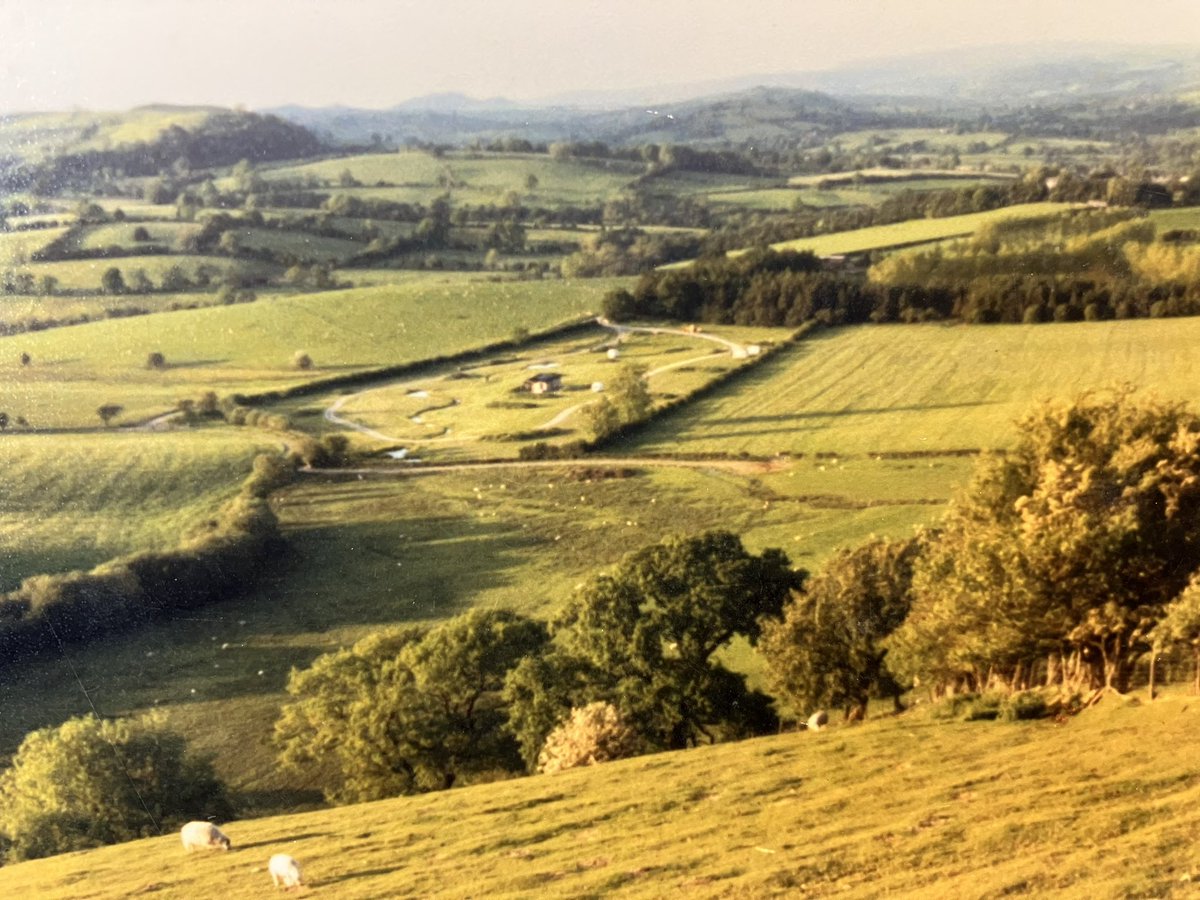 Here’s a #TBT from 1989 and our very first summer. What a journey we’ve had 💚💚