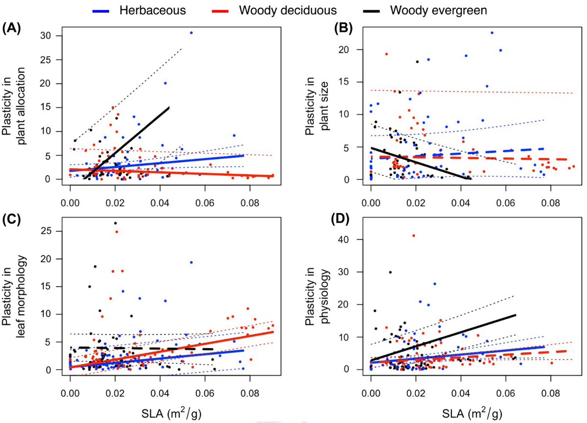 Oikos_Journal's tweet photo. IGNITE PAPER: Phenotypic plasticity and the leaf economics spectrum: plasticity is positively associated with specific leaf area
https://t.co/CSfnfPCgBr
@WileyEcolEvol @NordicOikos #ecology #herbaceous #woody #decidious #evergreen #plant #morphology https://t.co/kCmHvGkbh5