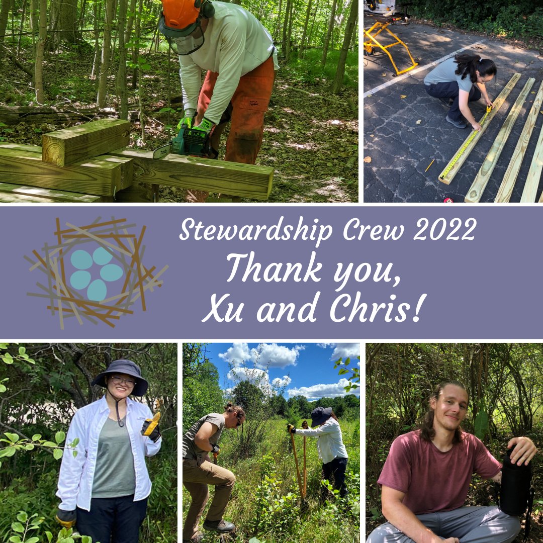 Legacy_Land's tweet photo. And just like that, it's time to say goodbye to our summer stewardship crew! We are so grateful for their work. Xu and Chris, thanks for everything! You have been a delight to work with and good luck on your next adventures! 🍀 https://t.co/4D0DYOCwpM