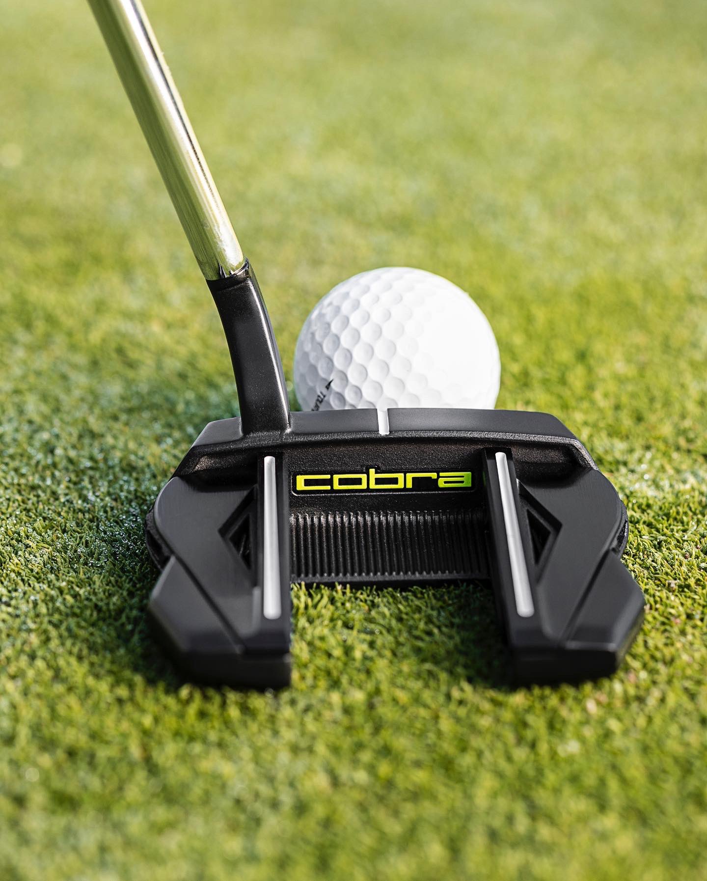 COBRA Golf UK on Twitter "Mallet or Blade? Which putter neck is better