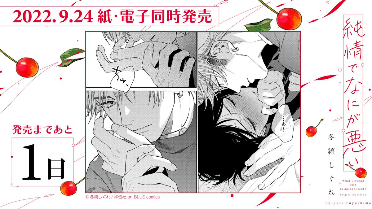 ⋰ 🍒ついに明日発売🍒 冬縞しぐれ @fuyushima_sgr [#純情でなにが悪い