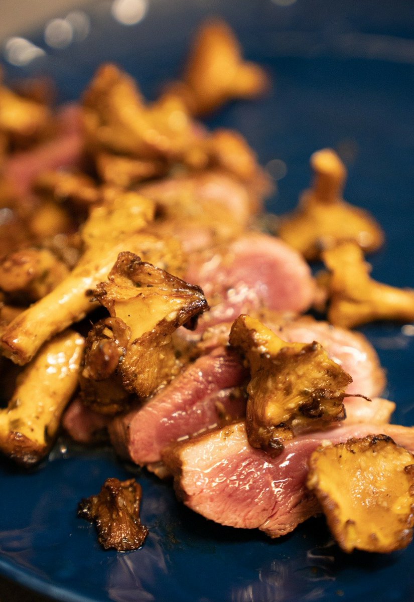 27Gourmand's tweet photo. Nous fêtons les #girolles !
Notre site :
https://t.co/O98LJbykPe pour réserver et découvrir nos recettes #confit, #magret, #canard https://t.co/zrxBIRj0th